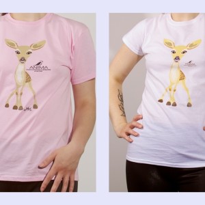 Women's T-Shirt