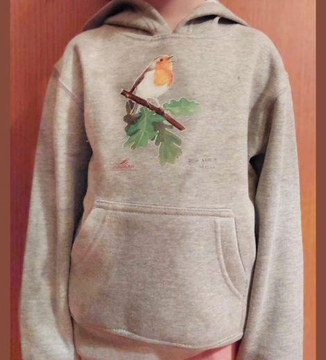 Φούτερ Παιδικό Κοκκινολάιμης