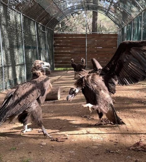 417591493_838187451677975_823105314236749483_n